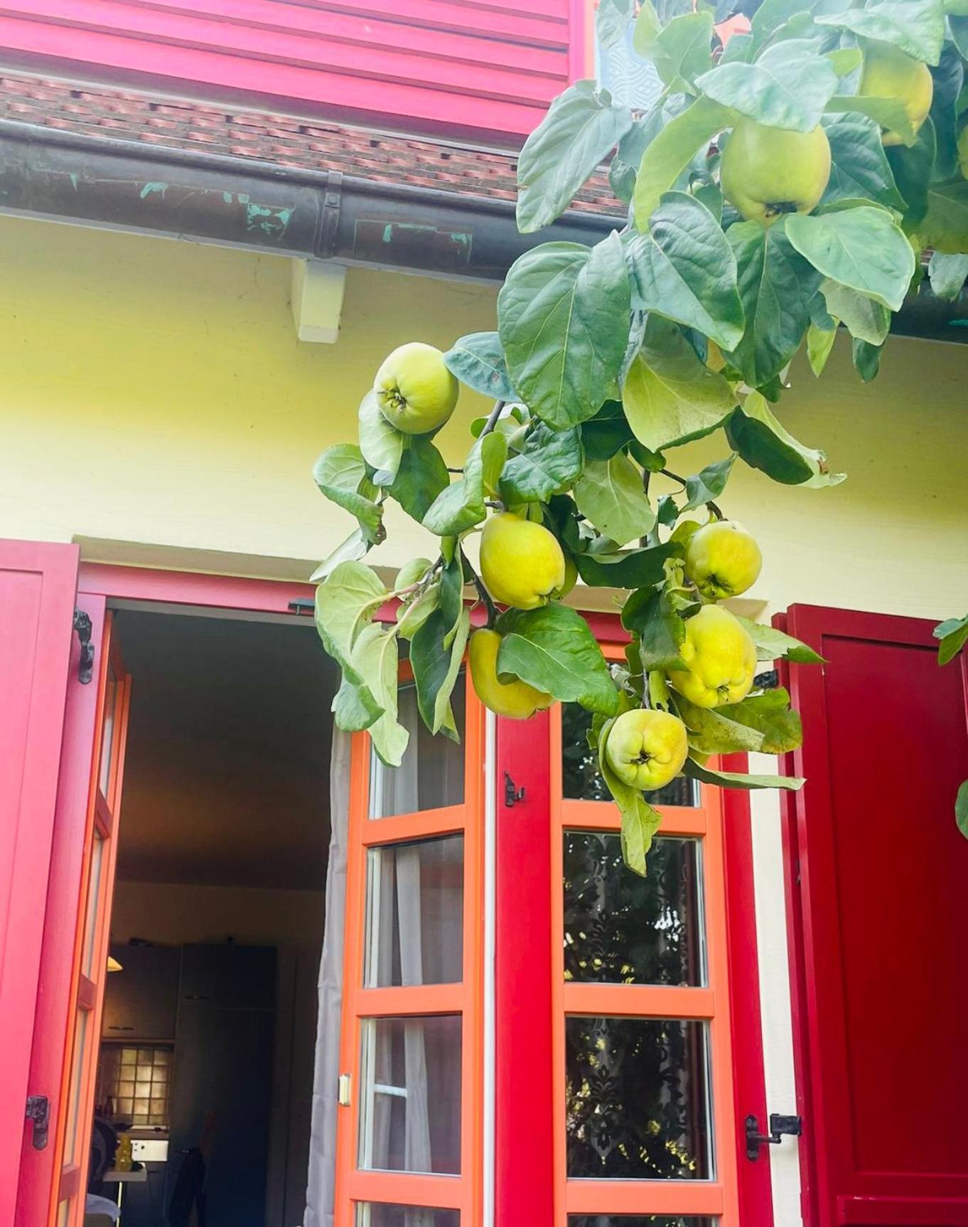 Moewenblick Bakenberg-41 Ferienwohnung Mit Terrasse, Doppelbett, Schlafsofa, Vollstaendige Komfortkueche Dranske Buitenkant foto
